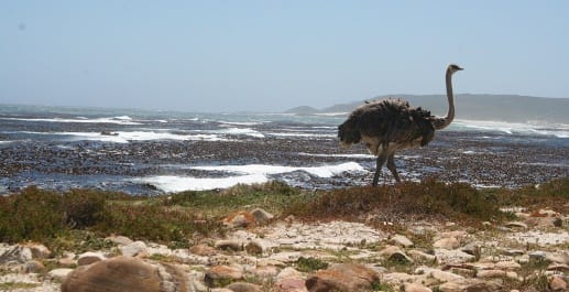 33 degrees south....