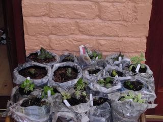 Wednesday March 30, 2005