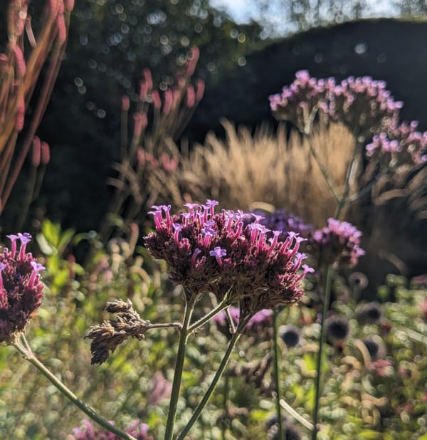 Subtle, shimmering September