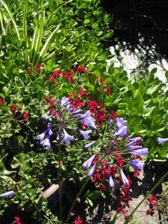 Sunday August 07, 2005