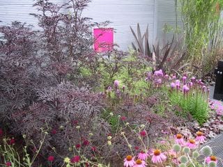 Thursday July 21, 2005