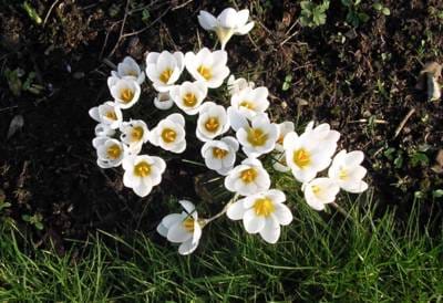 Tuesday February 08, 2005