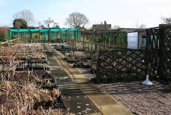 Bluebell Cottage, five years on. Part One...