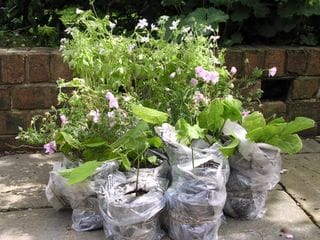 Tuesday June 21, 2005