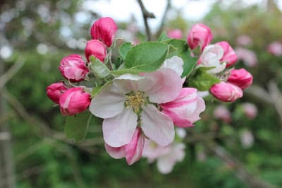 A touch of wordlessness