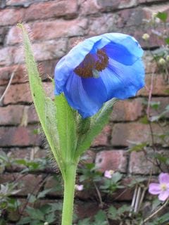 Wednesday May 18, 2005