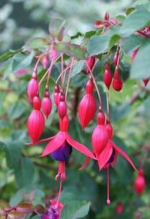 New arrivals and autumn returnees