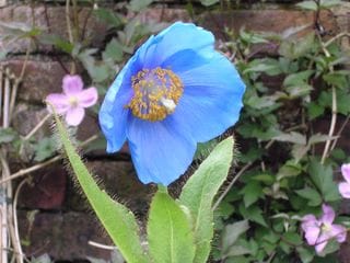 Thursday May 19, 2005