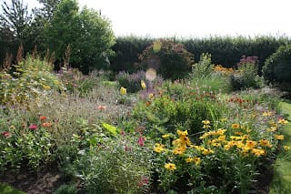 While waiting for chickens....