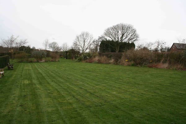 Bluebell Cottage - the first five years - Part Two