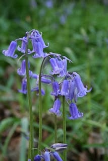 A bit late, but still lovely