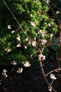 Wild, mild and windy