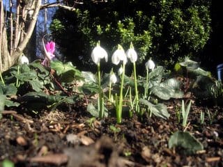 A few Friday lunctime snaps