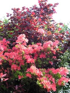 Thursday May 12, 2005