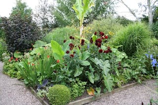 Hot and steamy exotica