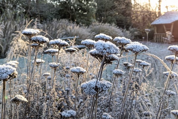 Writing: ink, tea and neckache.