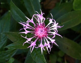 In need of photographic inspiration