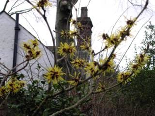 Tuesday January 11, 2005