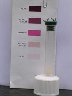 Sunday June 26, 2005