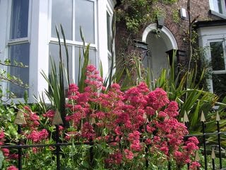 Saturday June 11, 2005