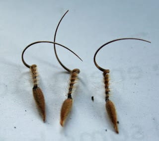 Propagating plants - To sow, or not to sow?