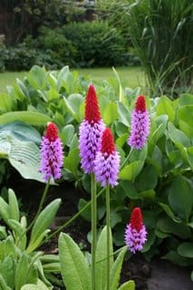 Exam time - and a catch up.