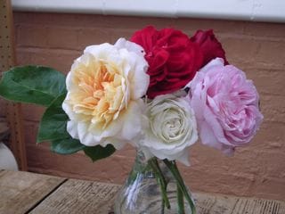 Sunday June 05, 2005