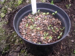 Friday February 17, 2006