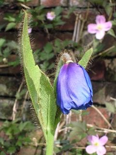 Tuesday May 17, 2005