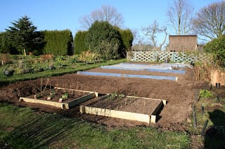 All set for 'Veg Week'