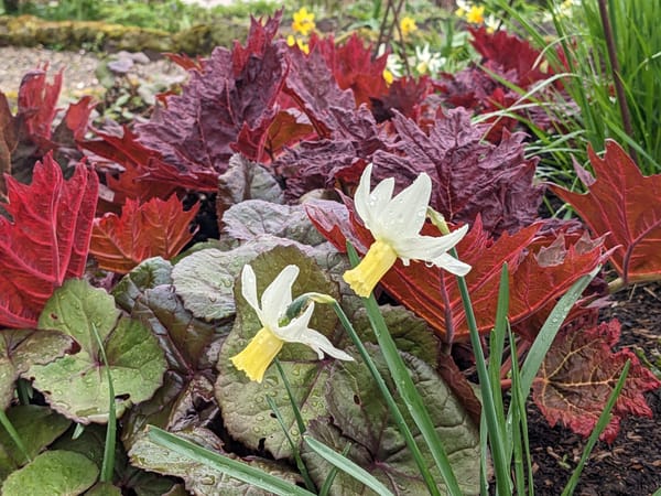 Fresh starts and loose ends..