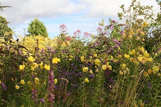 Feeling reflective and planning ahead