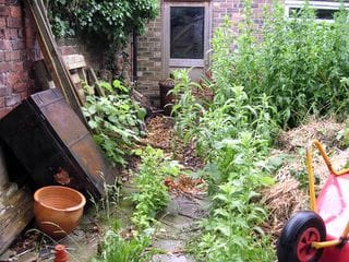 Sunday June 12, 2005