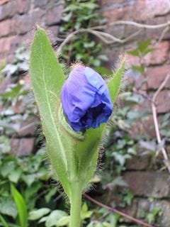 Tuesday May 17, 2005