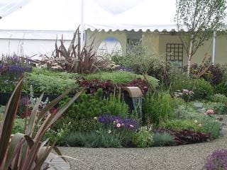 Thursday July 21, 2005