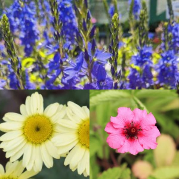 The worst salesperson in the world...