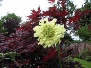 Saturday June 04, 2005