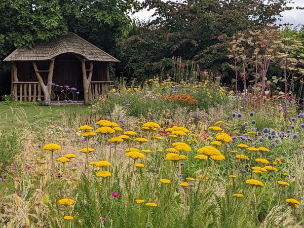 Rip it up and start again...