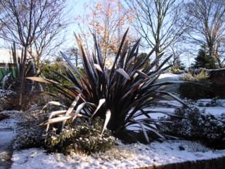 Monday January 03, 2005