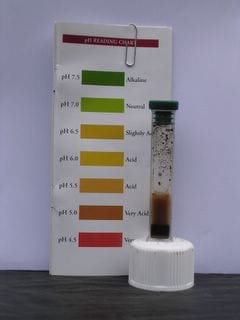 Sunday June 26, 2005