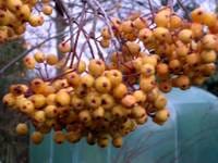 Wednesday January 05, 2005