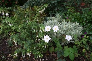 An autumn of 'lasts'