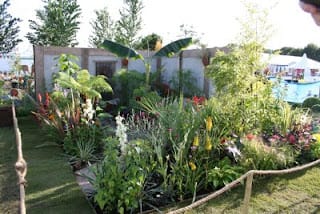 A Silver Gilt medal - we're happy and relieved...