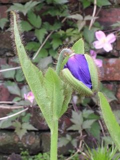 Tuesday May 17, 2005