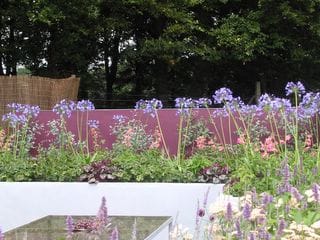 Thursday July 21, 2005