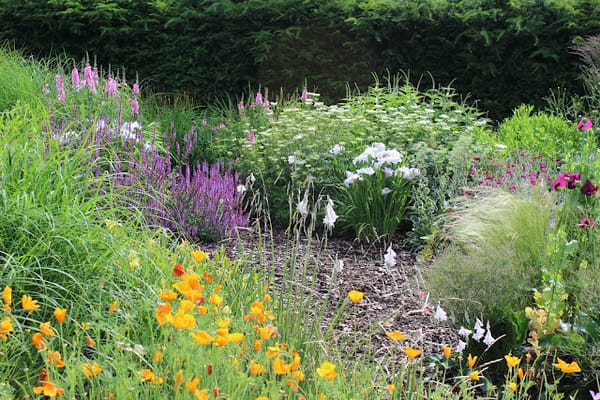 Almost a blog about Hampton Court Flower Show